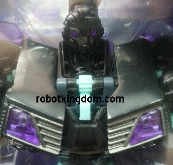 New Looks At Takara TF Prime Exclusive Terracon Bumblebee  (4 of 4)